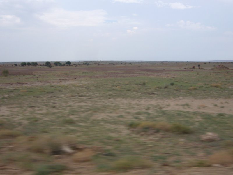 The desert.